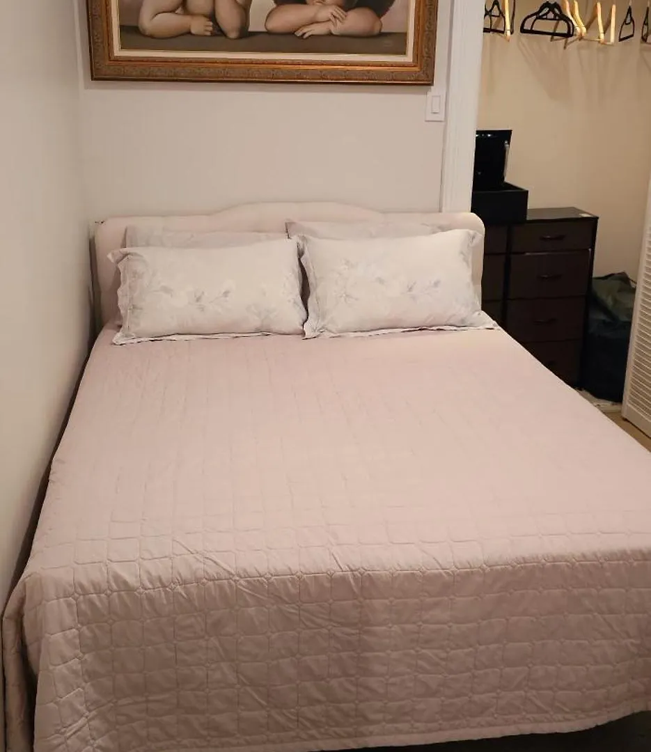 Luxurious Apartment At Colonial Townhouse 纽约